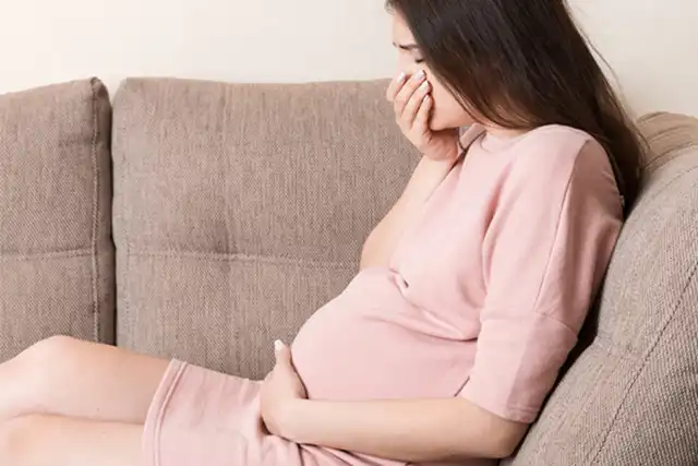 Ibu Hamil dan Parvovirus B19: 5 Wawasan Komprehensif    